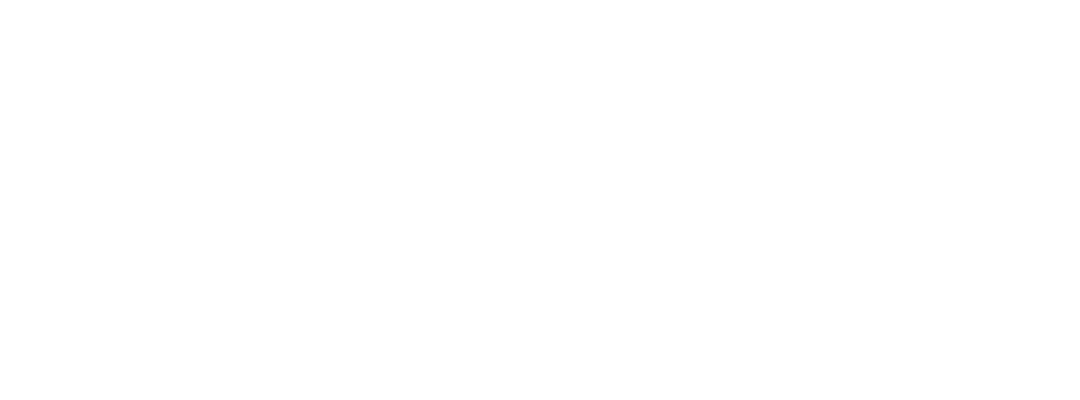 NeoLync Logo